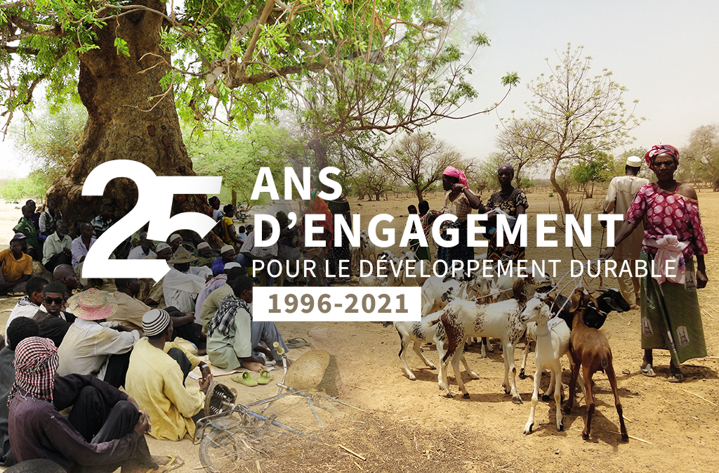 L’APPUI AU DÉVELOPPEMENT LOCAL